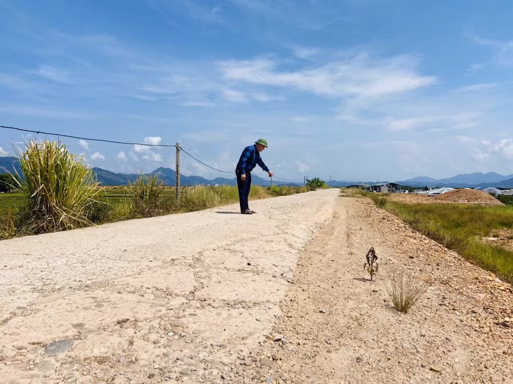Đường hồ thôn Hạ xuống thôn Bốn của xã cùng bị cày nát và sụt lún.