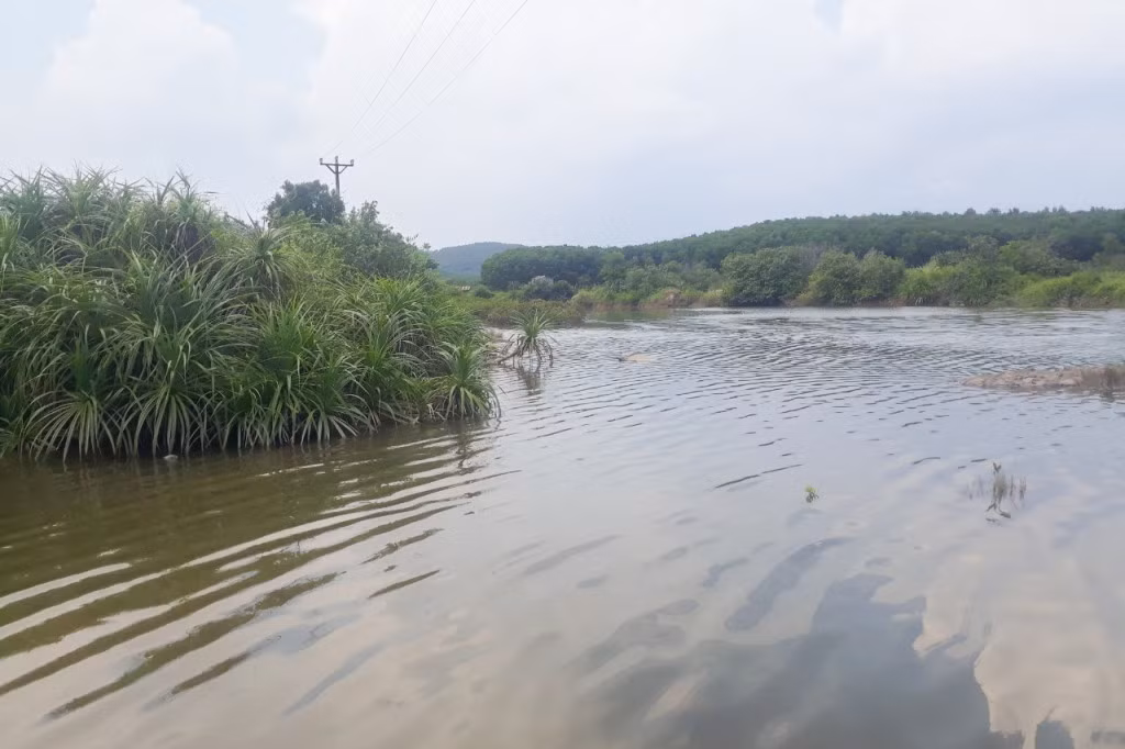 Khu vực đầm nuôi cá tại thôn 10, xã Hải Đông (TP Móng Cái), nơi phát hiện thi thể.