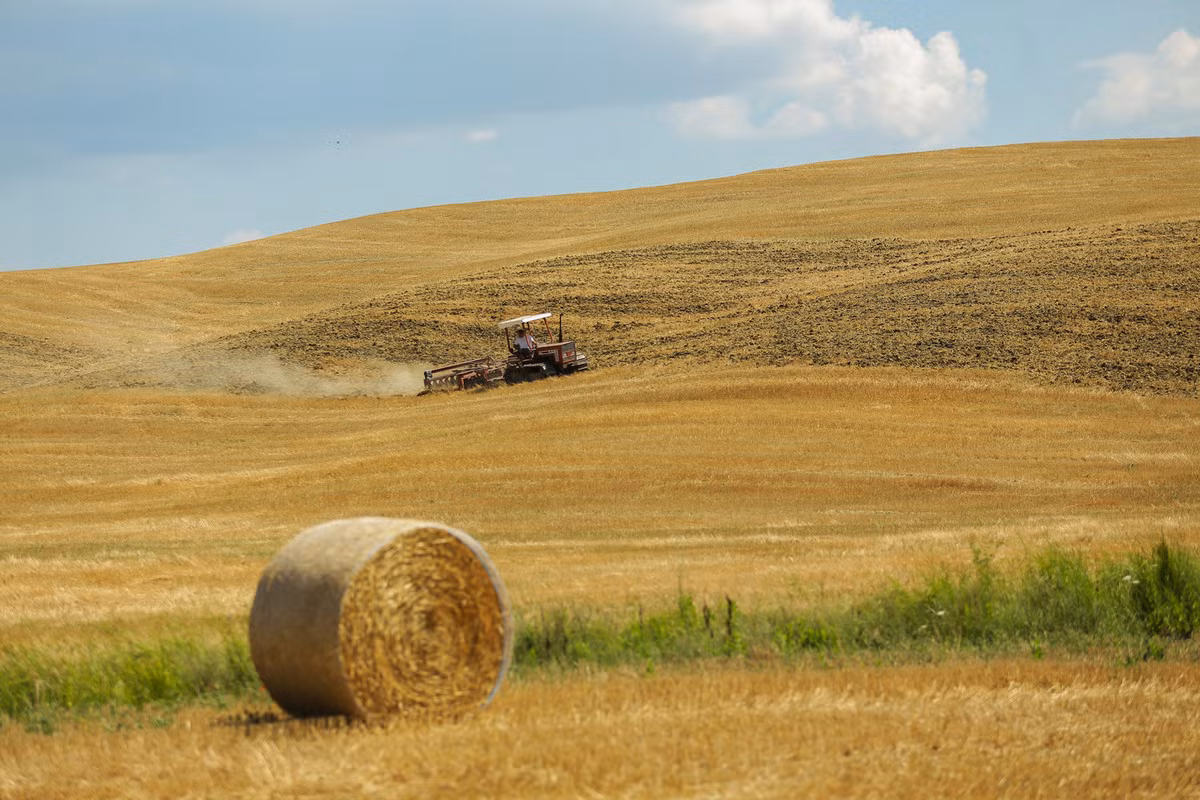 Mỗi mùa trong năm Tuscany đều có một vẻ đẹp độc đáo khác nhau, vào mùa xuân là những ngọn đồi xanh mướt trải dài, vào mùa hè là những cánh đồng bất tận, hay vào mùa thu, khi đã vào mùa gặt, các bó rơm sau khi được thu hoạch trông như những tác phẩm nghệ thuật sắp đặt.
