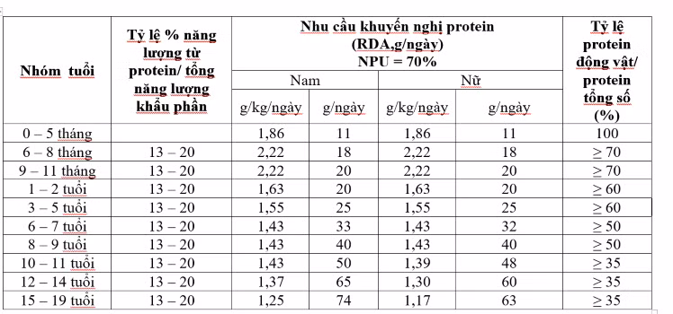 bảng dinh dưỡng