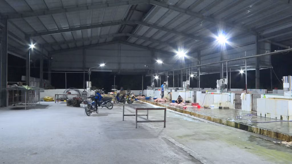 Các cơ sở giết mổ gia súc, gia cầm tập trung trên địa bàn tỉnh có công suất hoạt động thấp khi chính sách hỗ trợ hết hiệu lực.
