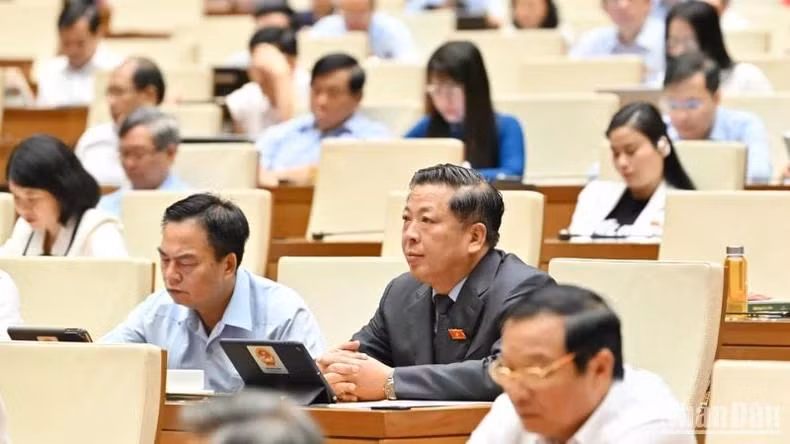 Các đại biểu dự phiên họp. (Ảnh: THỦY NGUYÊN)