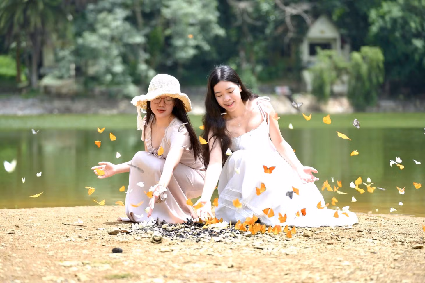 Nhiếp ảnh gia Huy Hoàng vừa có chuyến du lịch, khám phá Vườn quốc gia Cúc Phương chia sẻ: "Thật ra ban đầu tôi chỉ định đến Cúc Phương để thư giãn và tìm cảm hứng mới sáng tác. Nhưng khoảnh khắc thấy hàng ngàn con bướm bay rợp trời, tôi như bị "hút hồn", cảm giác như bước vào một thế giới cổ tích. Cảnh tượng ấy vừa mong manh, vừa kỳ diệu, khiến tôi ngay lập tức muốn cầm máy lên và lưu giữ nó bằng ống kính của mình nhiều lần".