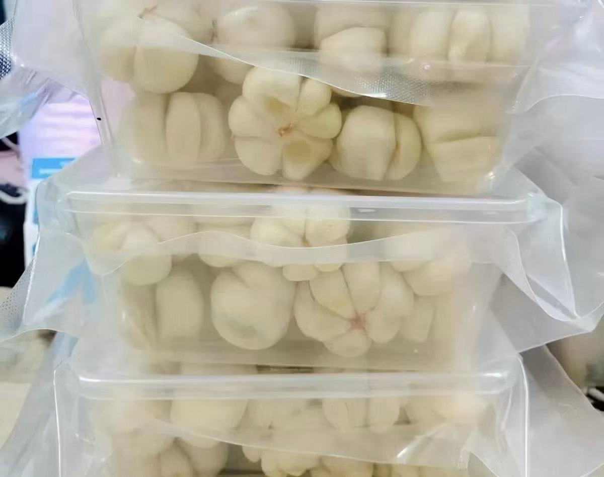 Phần ruột măng cụt xanh sau khi tách phải ngâm trong nước đá để giữ độ trắng giòn, rồi ngâm giấm đường hoặc chanh để tránh thâm đen. Ảnh: Nguyễn Thanh