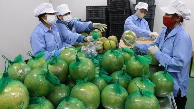 Anh được xem là thị trường còn nhiều dư địa cho các doanh nghiệp Việt Nam mở rộng thị phần.