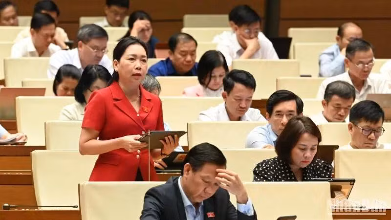 Đại biểu Lý Tiết Hạnh (Bình Định) phát biểu. (Ảnh: BÙI GIANG)