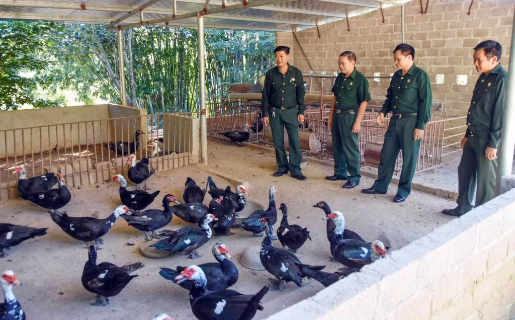 Hội CCB huyện Vân Đồn tổ chức thăm mô hình phát triển kinh tế của hội viên Liêu Văn Dưỡng (thôn Đầm Tròn, xã Bình Dân).