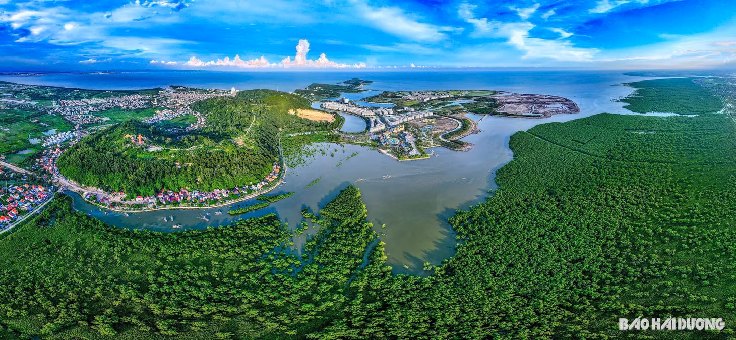 Nằm trong khu du lịch quốc tế Đồi Rồng, rừng ngập mặn Dragon Mangrove Forest mang đến trải nghiệm độc đáo cho du khách yêu thích khám phá điều mới lạ