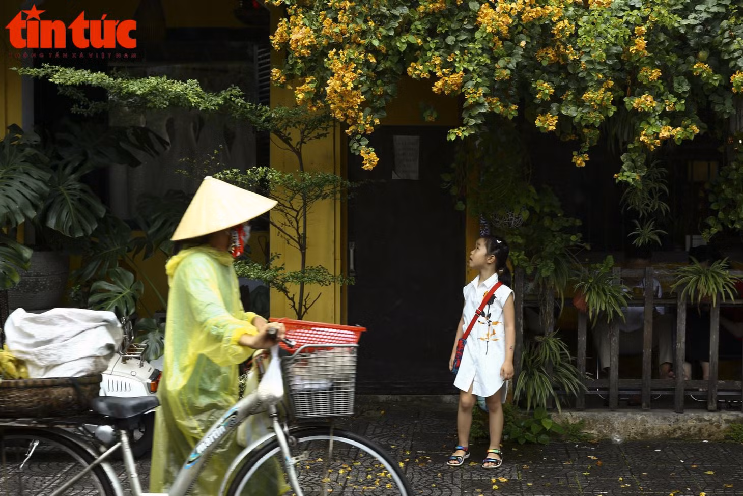 Nơi nào trong lòng phố cũng rực rỡ sắc hoa với muôn màu.