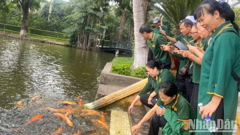 Du khách tham quan ao cá Bác Hồ.