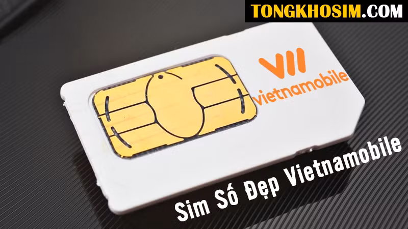 Sim số đẹp Vietnamobile được khác hàng ưa chuộng sử dụng