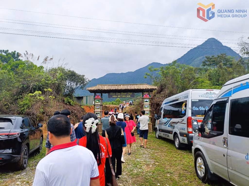 Mỗi năm lễ hội "Hoa sim biên giới" thu hút hàng chục ngàn du khách.