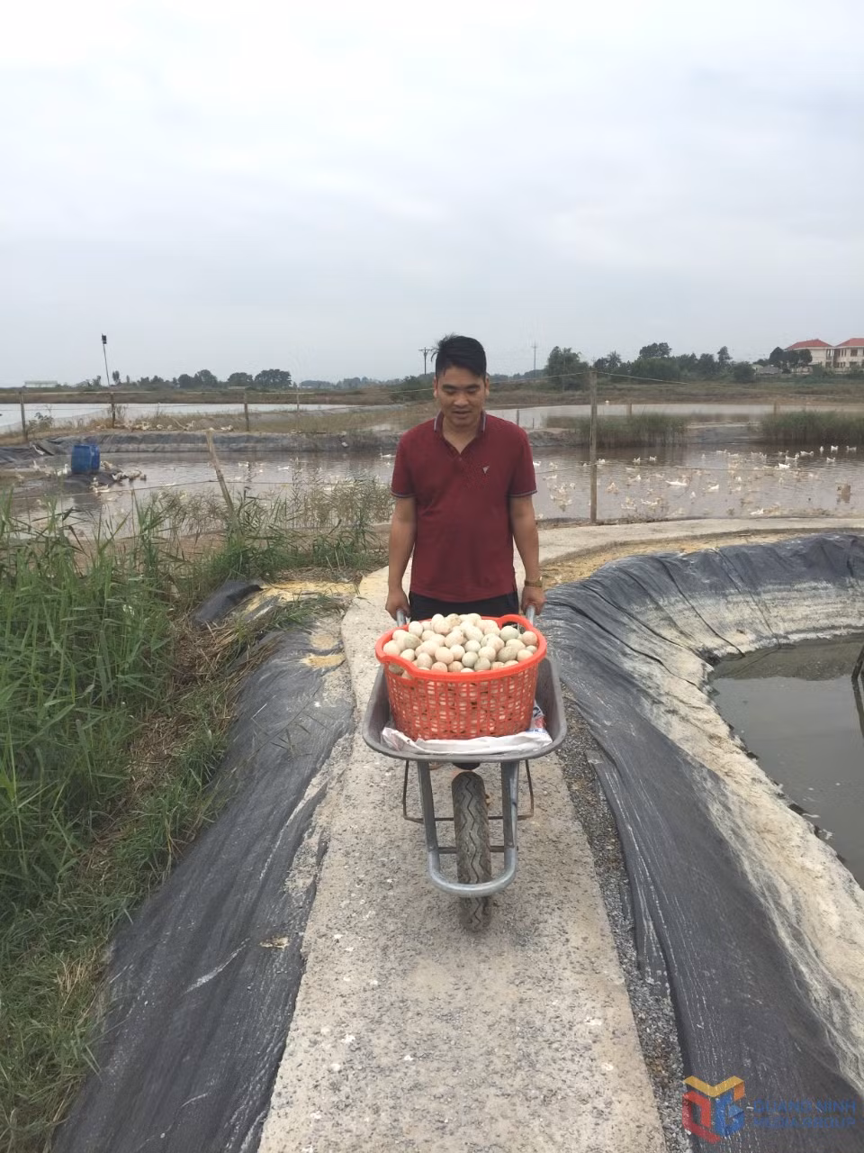 Anh Vũ Tuấn Anh thu hoạch trứng vịt biển. Ảnh: Việt Hoa