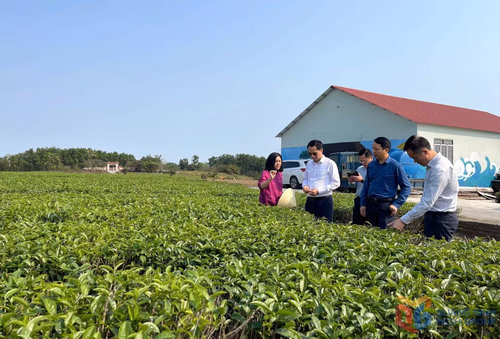 Lãnh đạo Sở KH&amp;CN hướng dẫn, hỗ trợ Công ty TNHH Việt Tú trở thành doanh nghiệp KHCN.