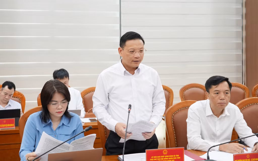 Đồng chí Nghiêm Xuân Cường, Phó Chủ tịch HĐND tỉnh phát biểu kết luận buổi làm việc.