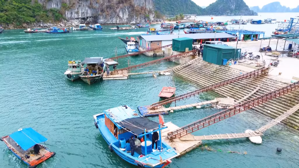 Hạ tầng cảng cá Cái Rồng hướng tới hiện đại.