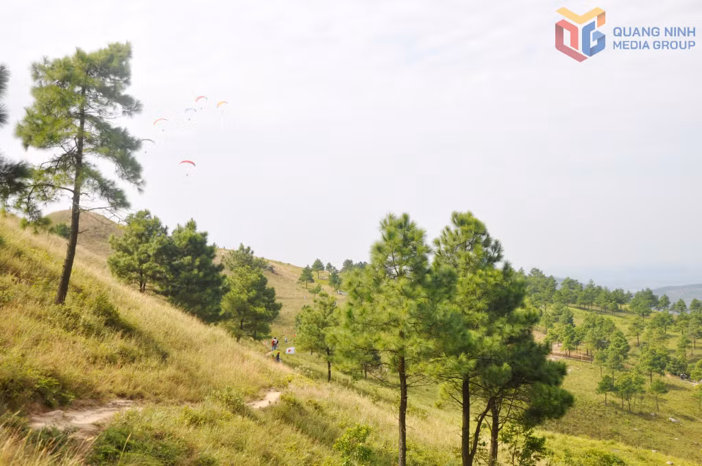 Vẻ đẹp trong lành, thơ mộng của núi Phượng Hoàng (phường Vàng Danh) làm xiêu lòng du khách.