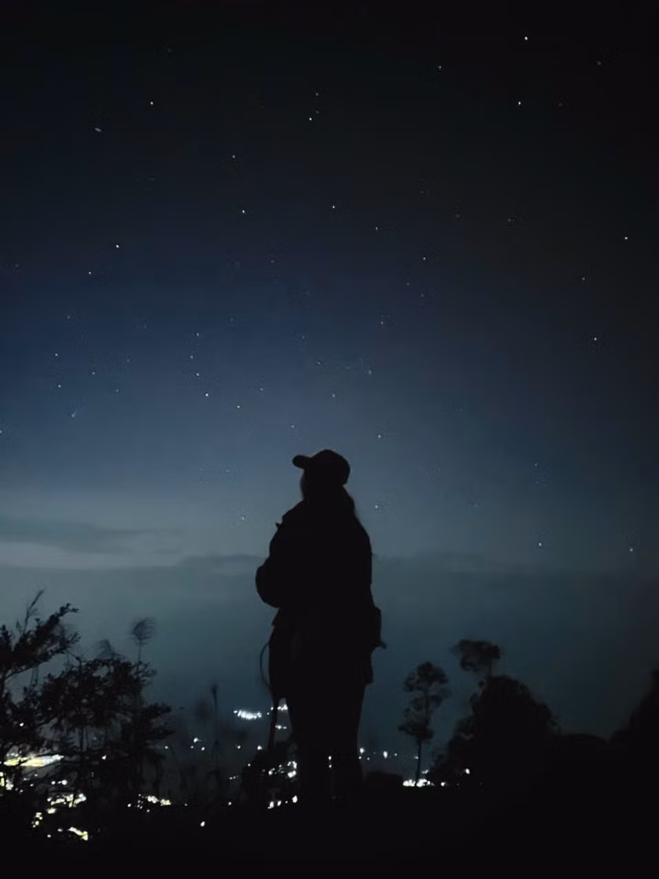 Giữa đại ngàn hoang sơ, du khách cũng có thể ngắm sao trời và tận hưởng không khí trong lành.