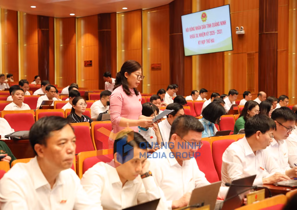 Đại biểu HĐND tỉnh, phát biểu thảo luận tại hội trường (5-2026). Ảnh: Thu Chung