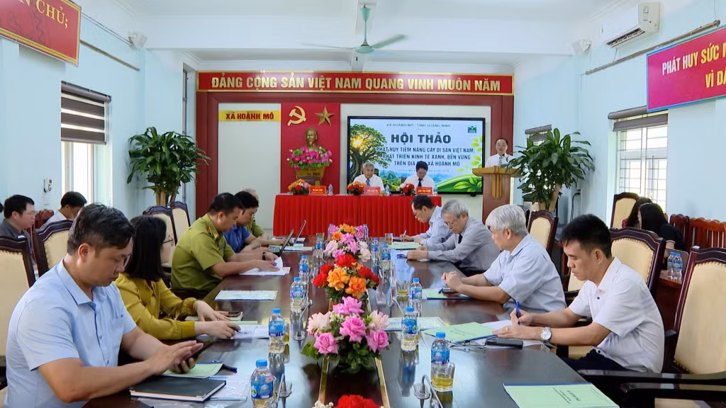 Hội thảo Phát huy tiềm năng Cây Di sản Việt Nam; phát triển kinh tế xanh, bền vững xã Hoành Mô.