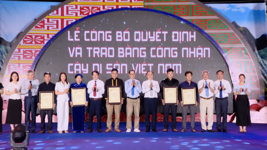 Tối ngày 19/5, diễn ra lễ công bố quyết định công nhận Cây di sản Việt Nam trên địa bàn xã Hoành Mô.
