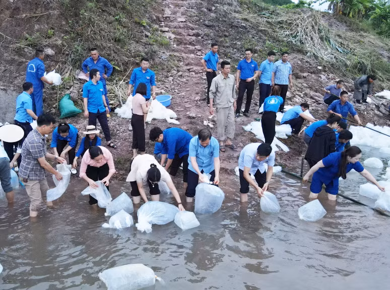 Lãnh đạo Sở NN&amp;PTNT, Hội Nghề cá tỉnh Quảng Ninh, huyện Tiên Yên cùng người dân thả con giống thủy sản nước ngọt về tự nhiên.