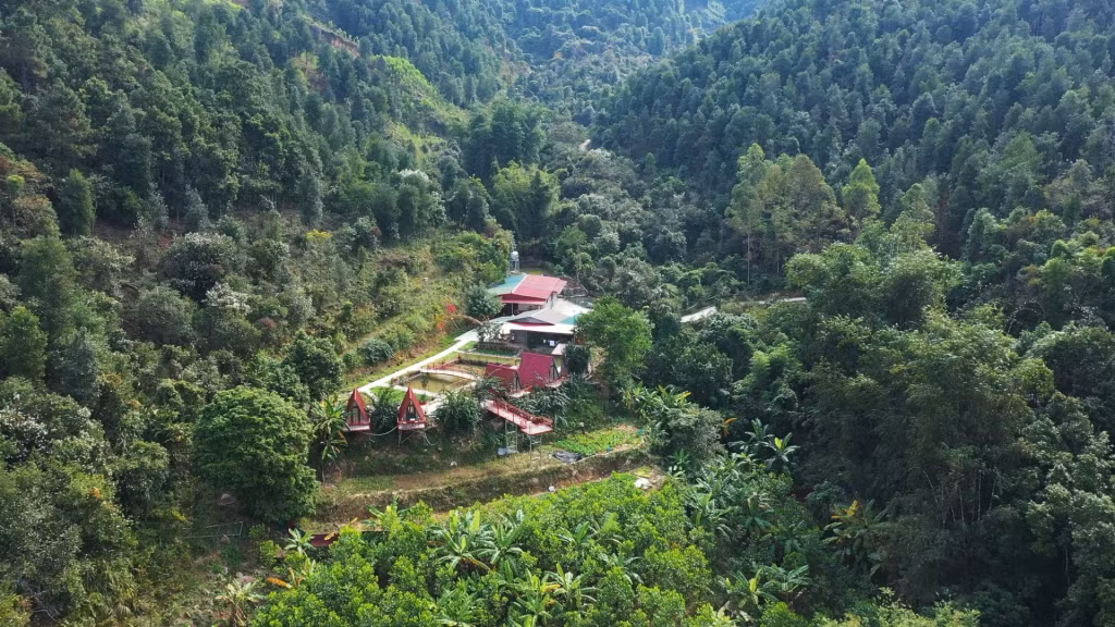 Homestay Hoa Sở (thôn Đồng Long, xã Đồng Tâm) là một cách phát triển nông nghiệp gắn với du lịch.