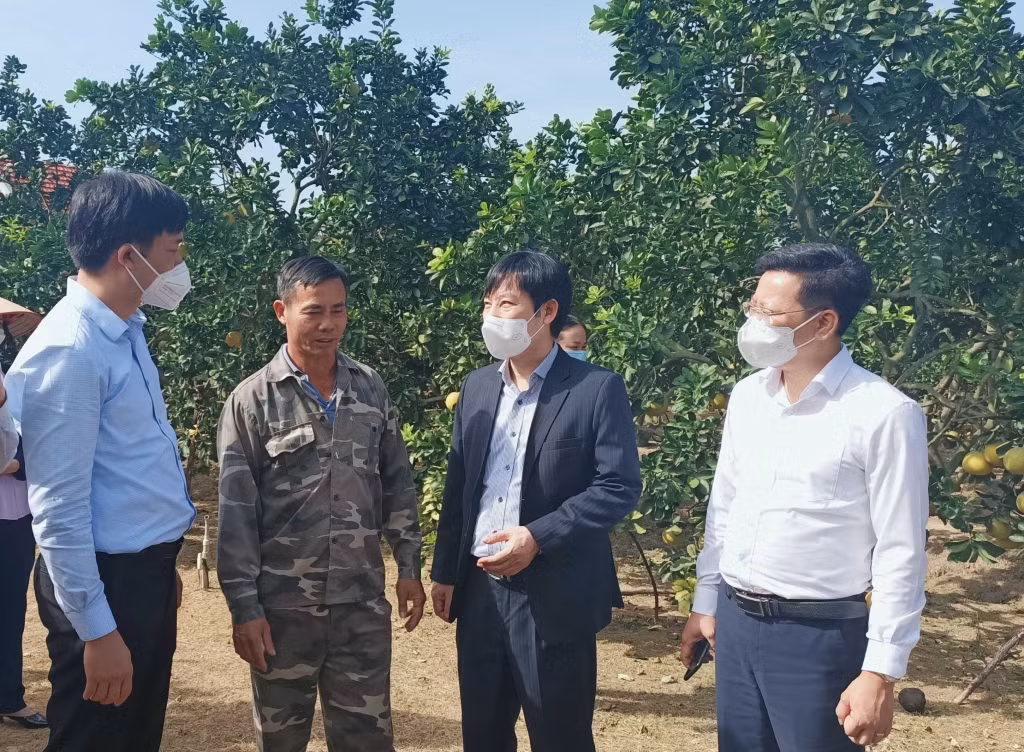 Lãnh đạo Trung ương HND Việt Nam và HND tỉnh Quảng Ninh tham quan mô hình trồng cây có múi của nông dân TX Đông Triều, tháng 11/2021.
