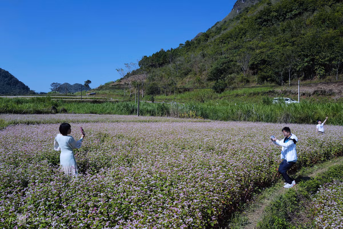 Sở Văn hóa, Thể thao và Du lịch tỉnh Hà Giang đã có thông báo đón khách du lịch trở lại Hà Giang từ ngày 23/11 đến tất cả các khu, điểm du lịch, làng du lịch trên địa bàn tỉnh (trừ 2 xã vùng đỏ là Đông Minh và Sủng Thài - huyện Yên Minh). Du khách đến với Hà Giang, chủ động thực hiện yêu cầu 5K trong phòng, chống dịch, khai báo y tế theo quy định hoặc quét mã QR; thực hiện đầy đủ các quy định của Ban Chỉ đạo Quốc gia phòng, chống dịch COVID-19, Bộ Y tế và nội quy của cơ sở kinh doanh du lịch.