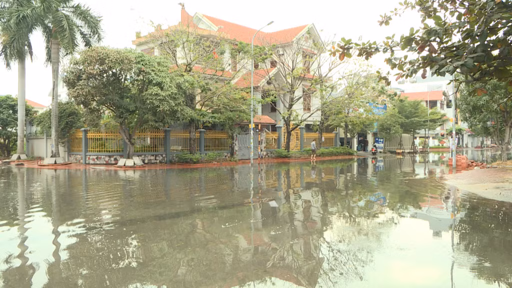 Nỗi lo triều cường ở một khu đô thị lấn biển ảnh 1