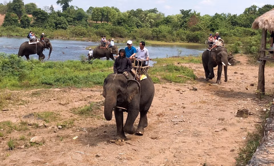 Đắk Lắk sẽ bỏ du lịch cưỡi voi nhằm bảo tồn loại động vật này. Ảnh: T.N.