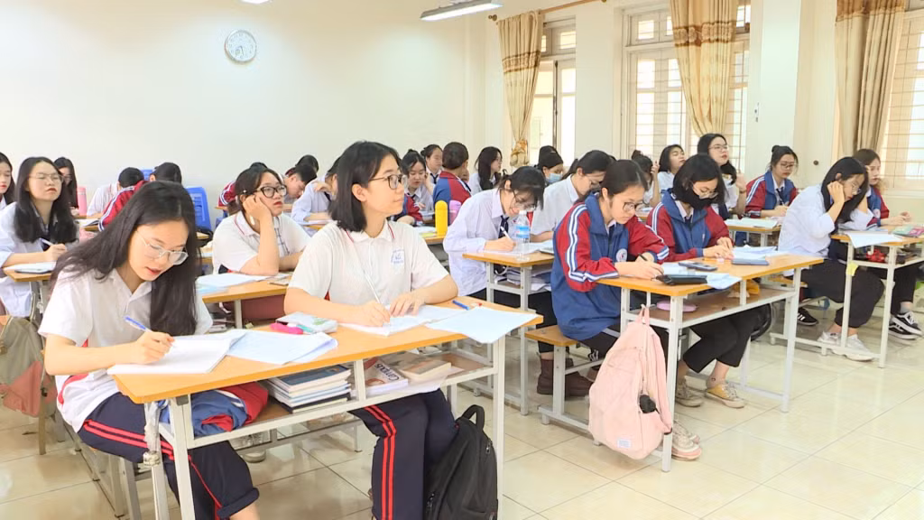 Nghị quyết mới cũng dành sự quan tâm đặc biệt cho học sinh Trường THPT Chuyên Hạ Long - nôi đào tạo học sinh giỏi của tỉnh.