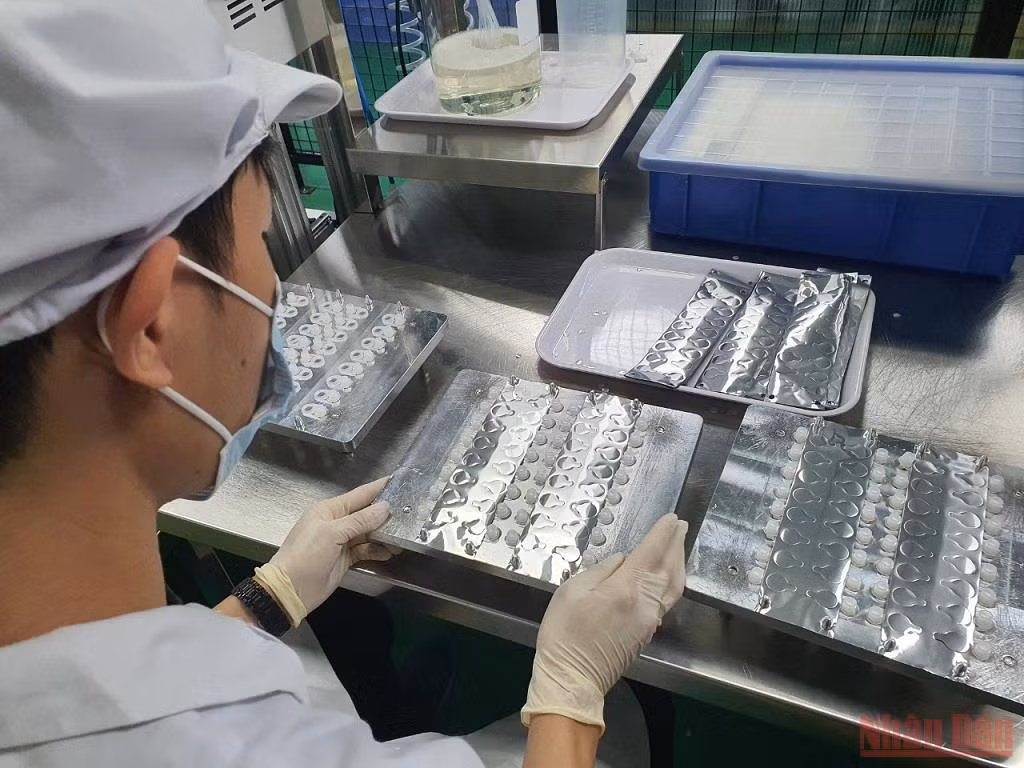 Dịch chiết để xét nghiệm nhanh virus SARS-CoV-2 được đóng gói vào từng ống nhỏ, thuận tiện cho người dùng khi tự xét nghiệm. Ảnh chụp ngày 19/12.