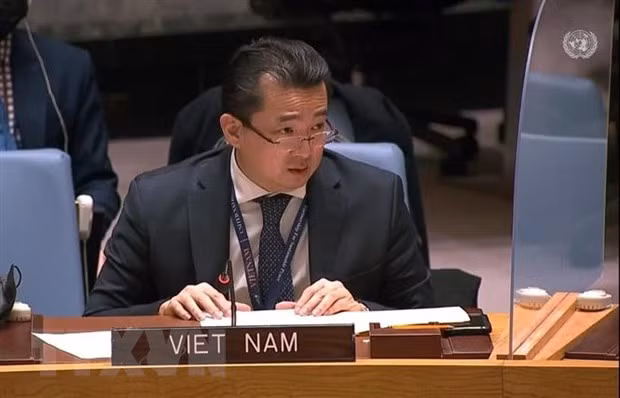 Viet Nam chu tri cuoc hop Nhom Cong tac cua HDBA ve cac toa an quoc te hinh anh 2