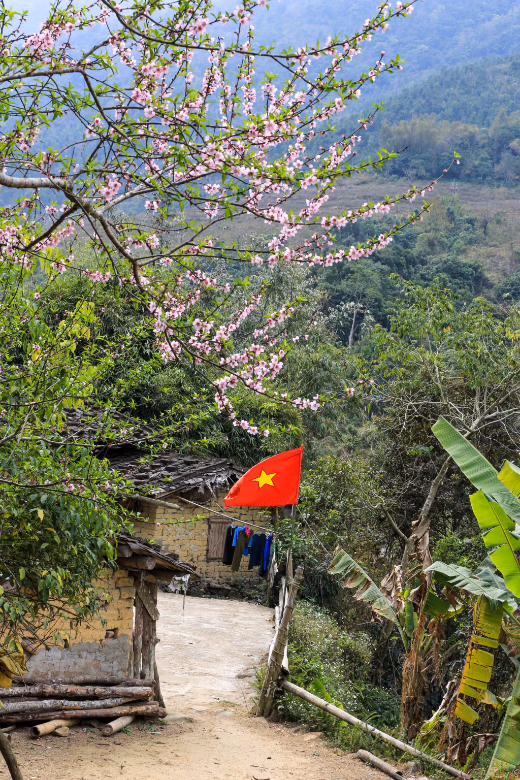 Ngõ xuân trong bản Dao.&nbsp;