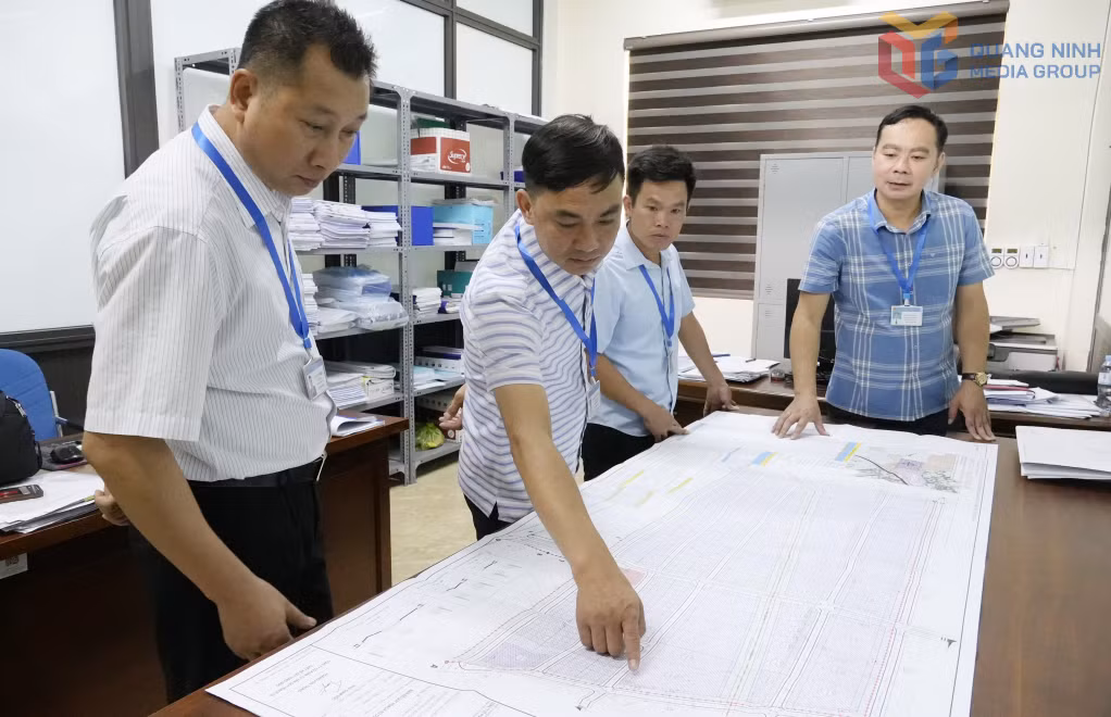 Sau khi thực hiện mô hình chính quyền địa phương hai cấp, Phòng Kinh tế xã Quảng Tân được giao thực hiện nhiều nhiệm vụ trên các lĩnh vực đất đai, xây dựng, quy hoạch, giao thông, môi trường và phòng chống thiên tai.&nbsp;