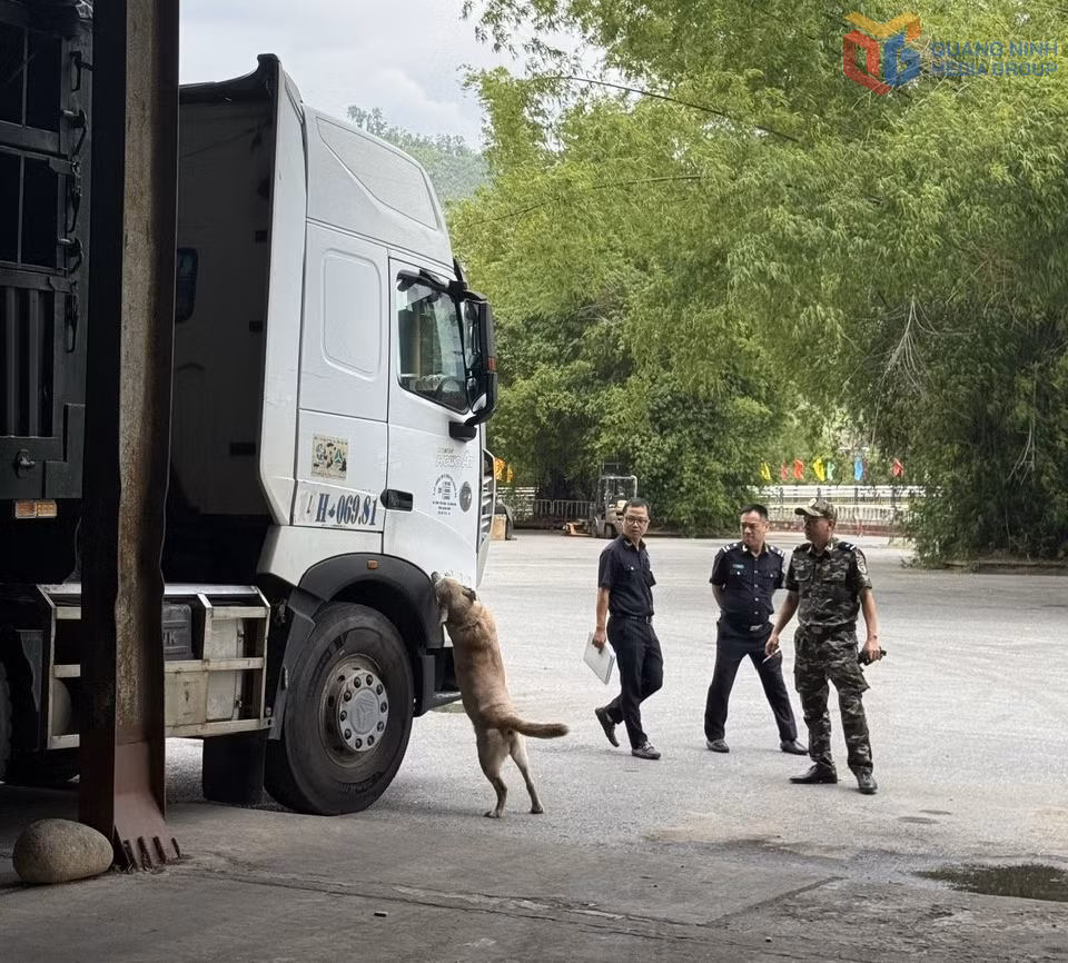 Hải quan cửa khẩu Hoành Mô sử dụng chó nghiệp vụ trong công tác phòng, chống ma túy.