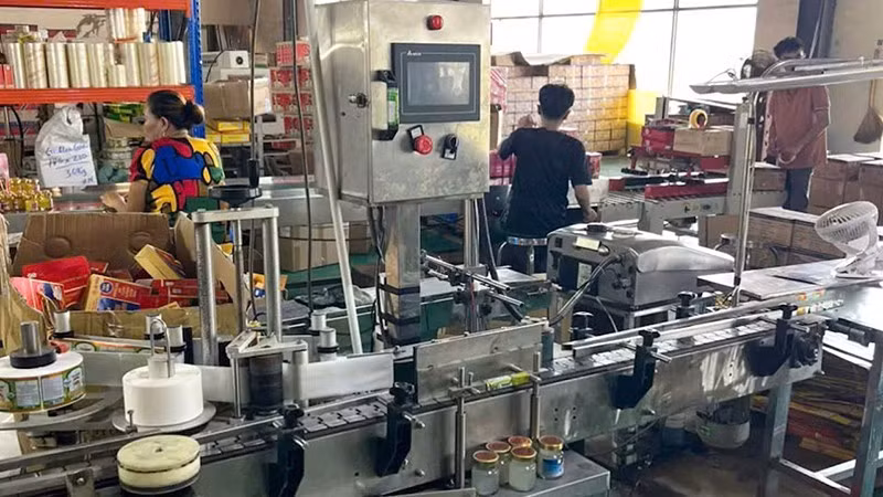 Cơ sở sản xuất có quy mô lớn.