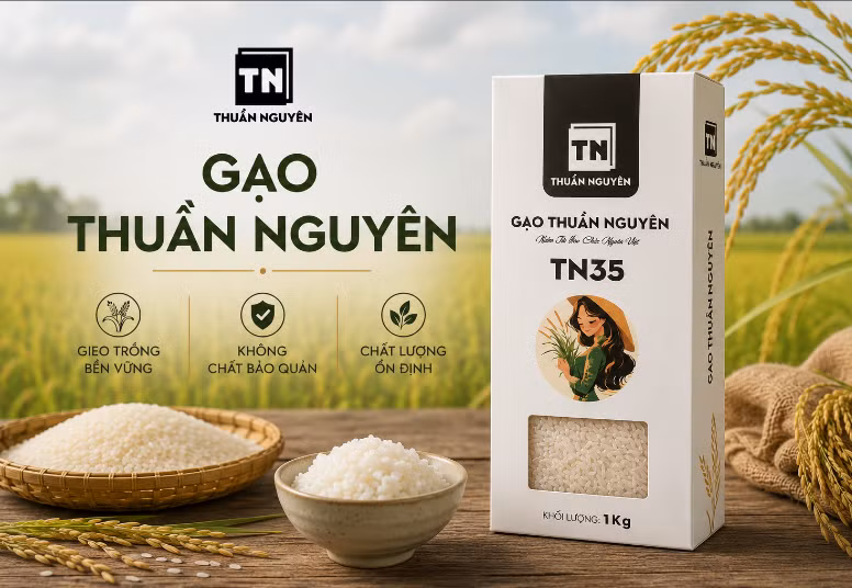 Người tiêu dùng miền Bắc ngày càng ưu tiên gạo có nguồn gốc rõ ràng và chất lượng ổn định ảnh 2 Người tiêu dùng miền Bắc ngày càng ưu tiên gạo có nguồn gốc rõ ràng và chất lượng ổn định ảnh 2