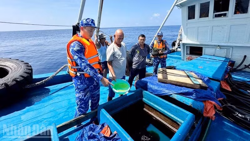 Lực lượng chức năng Bộ Tư lệnh Vùng Cảnh sát biển 4 kiểm tra hàng hóa trên tàu ĐT 93734 TS.