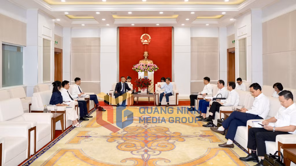 Quang cảnh buổi tiếp xã giao (6-2026). Ảnh: Đỗ Phương