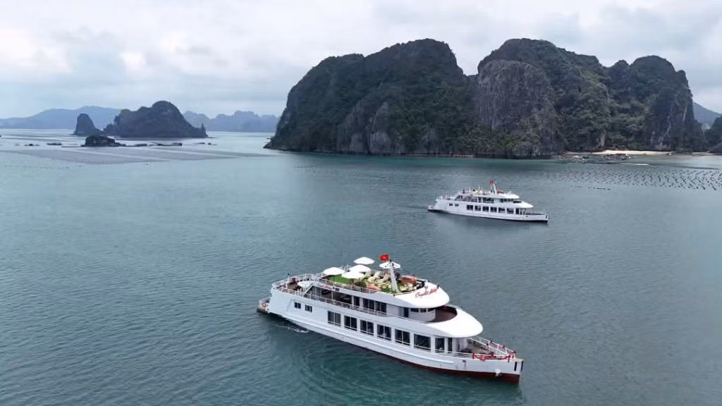 Vịnh Bái Tử Long. (Nguồn: Báo Quảng Ninh)