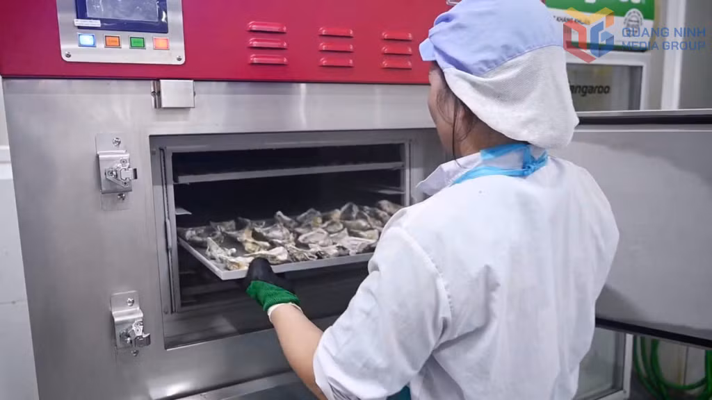 Sản xuất hàu nửa mảnh đông lạnh tại Công ty TNHH Sản xuất và Thương mại Thủy sản Quảng Ninh (Bavabi).