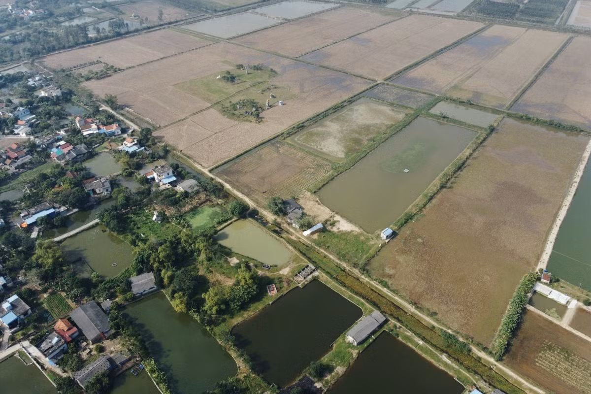Tour tái hiện Tết xưa ở làng Vũ Đại ảnh 1