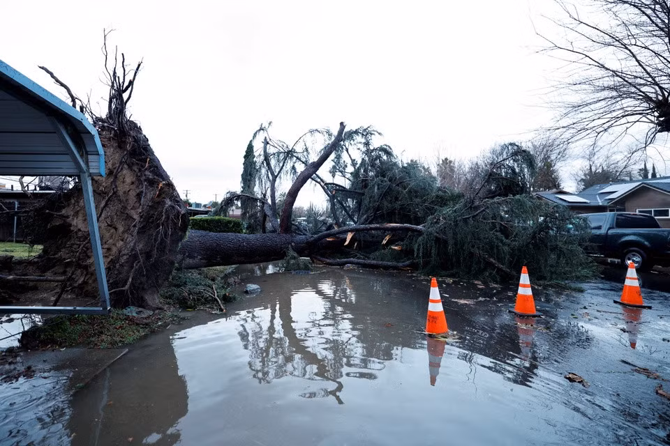 Cây đổ chắn ngang đường sau cơn bão tại Tây Sacramento, California hôm 8/1. Ảnh: Reuters.