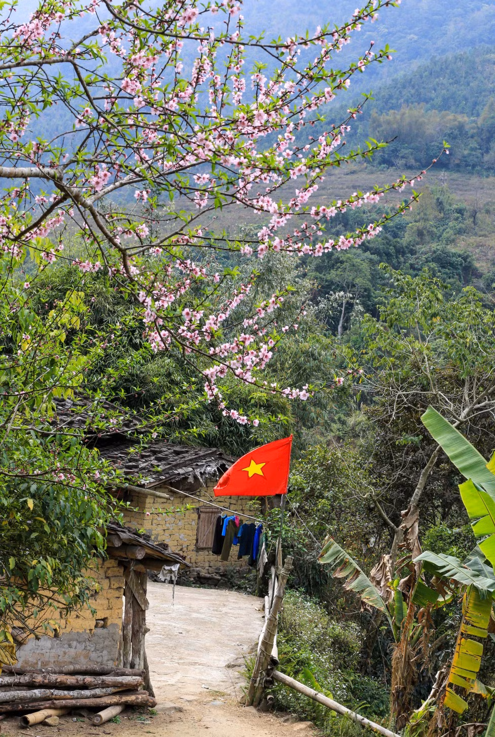 Dương Phượng Đại