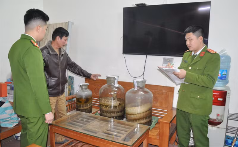 Nguyễn Quang Trung cùng tang vật.