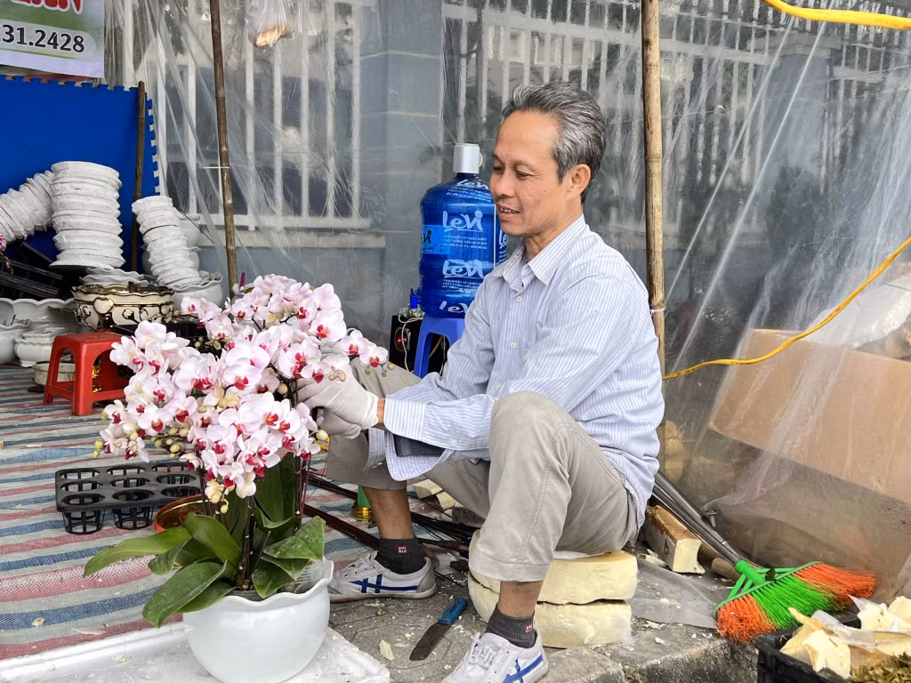 Hoa Lan tại hội chợ hoa-cây cảnh Đông Triều đang được các tiểu thương tích cực tạo thế, trang trí trong chậu để bán cho du khách.