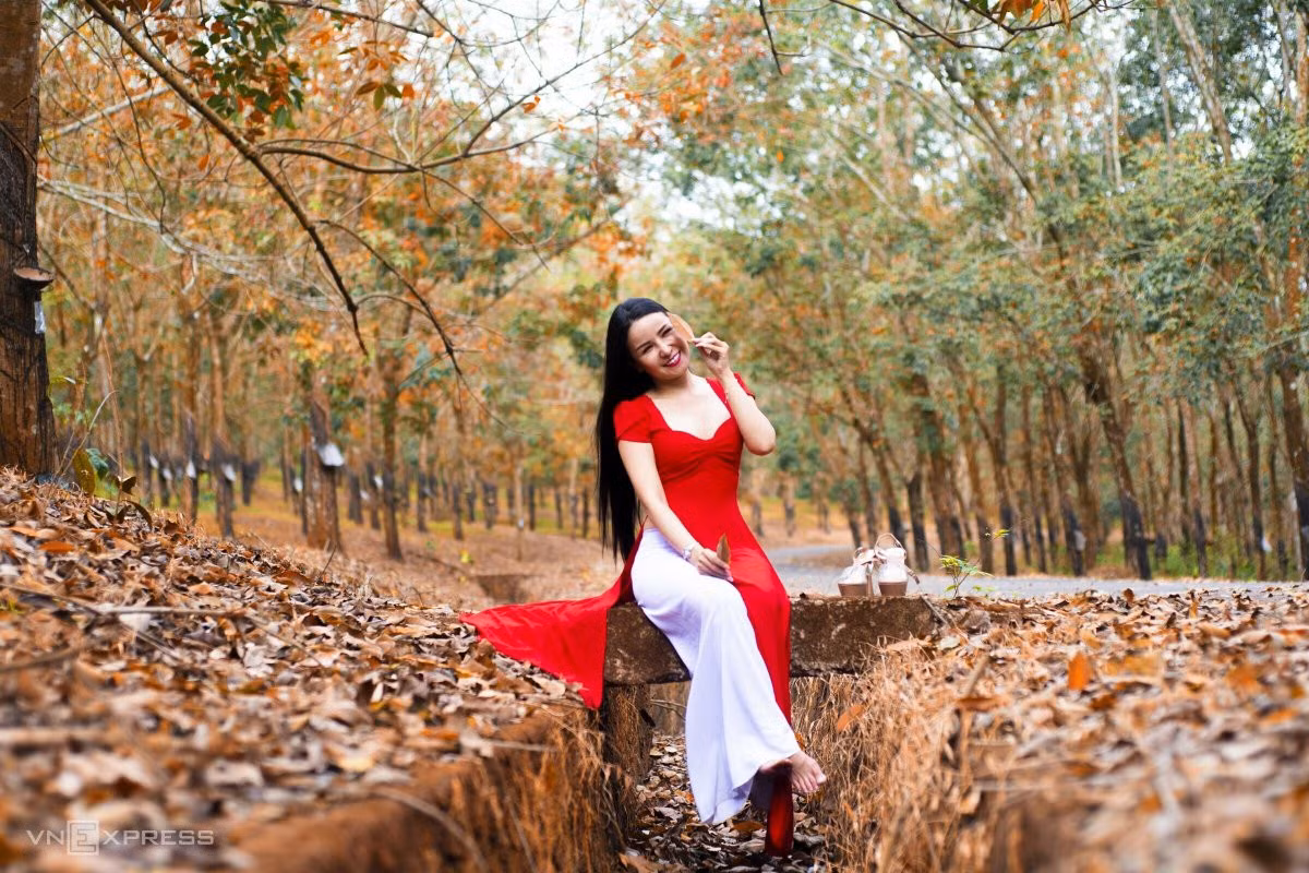 Rừng cao su miền Đông mùa thay lá ảnh 7