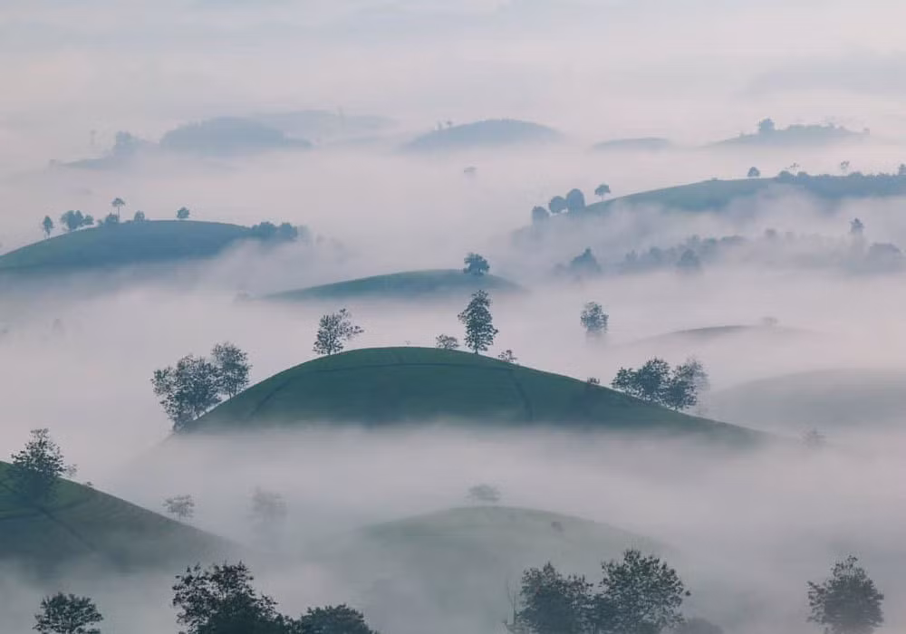 Vẻ đẹp Việt Nam qua hình ảnh trên National Geographic ảnh 9